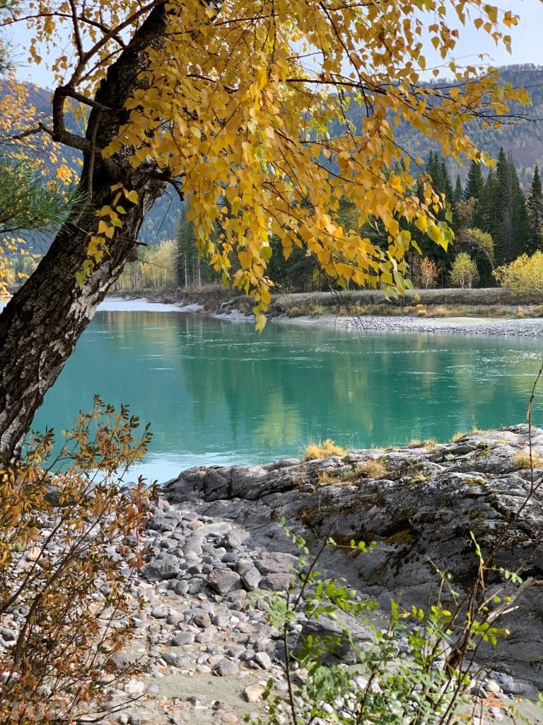 Автор: Шишкина Татьяна Чемальский район