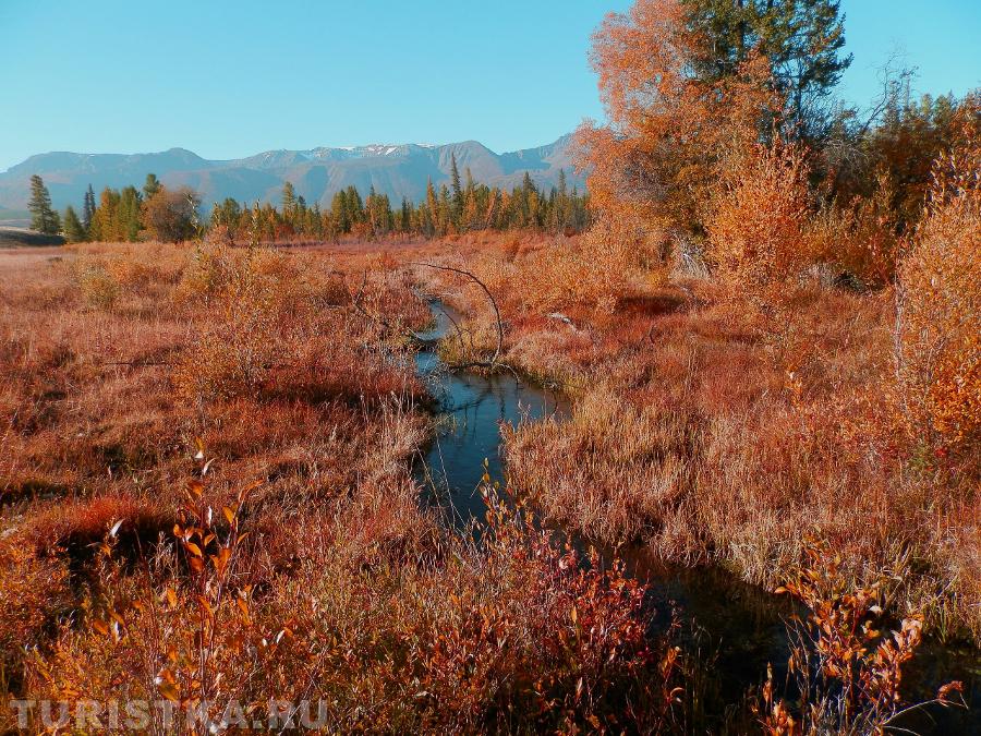 Курайская степь, родник и межелика