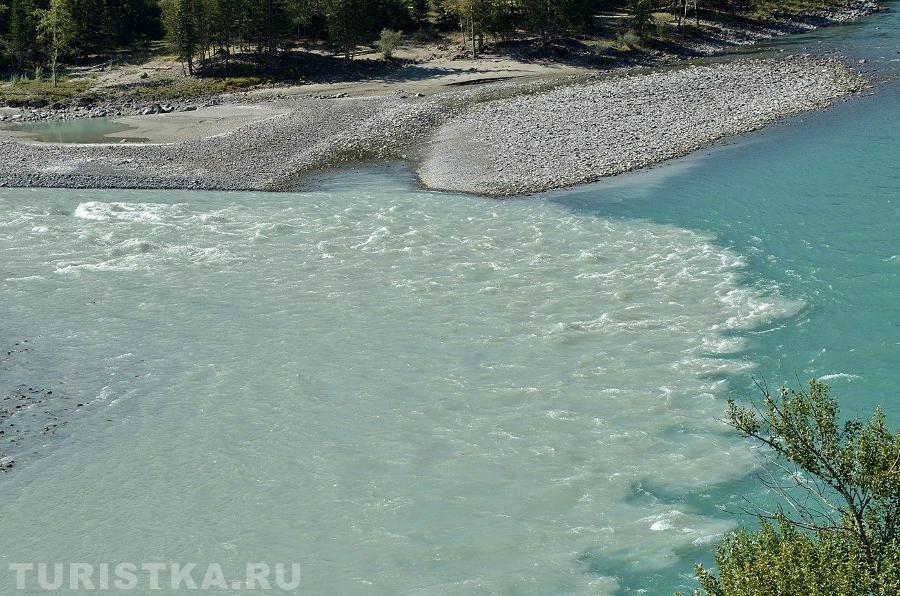 Слияние рек Аргут и Катунь.