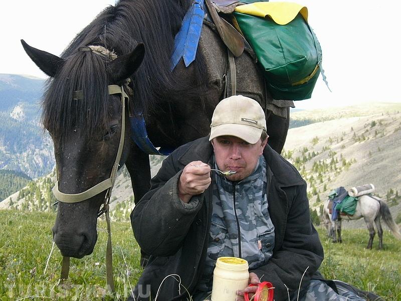 «Отвали, коняга, сам оголодал!»