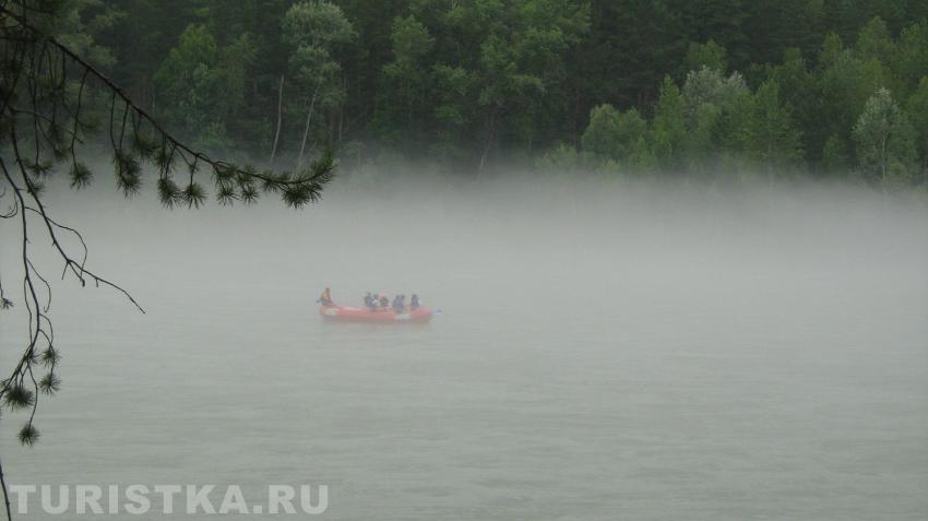 Ондатры в тумане