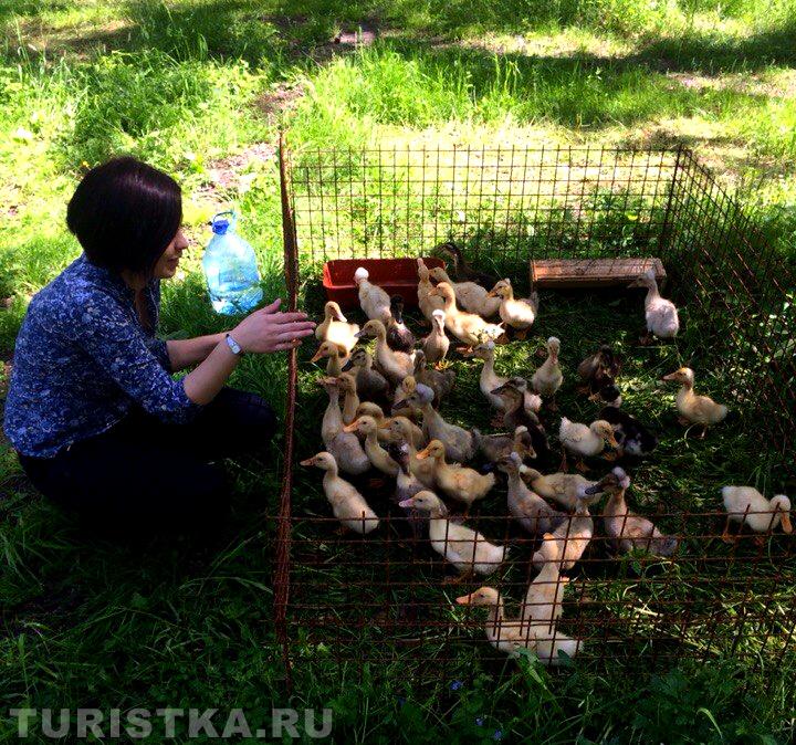 Выступление перед избирателями