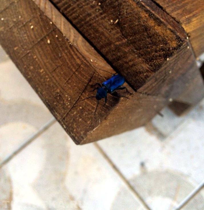 Страшный, но красивый)