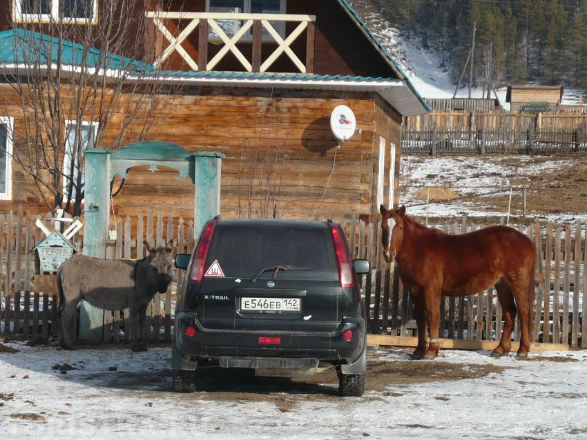 Выбери меня. Прогулки по Горному Алтаю на любом виде транспорта!