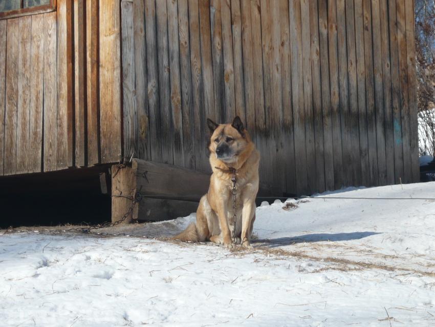 Ходят тут всякие!