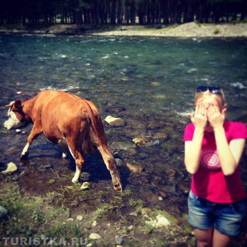 С - сМУУУщение