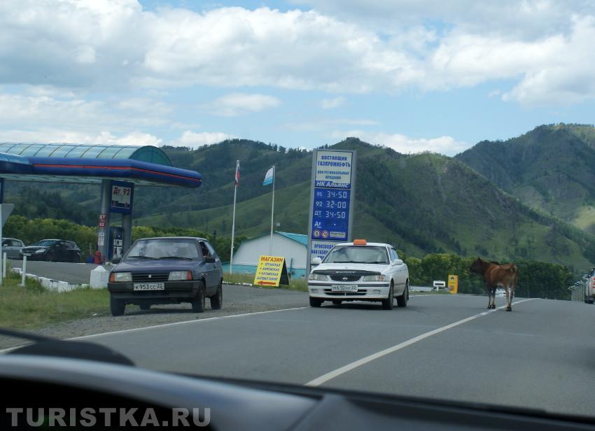 Пойду дозаправлюсь....