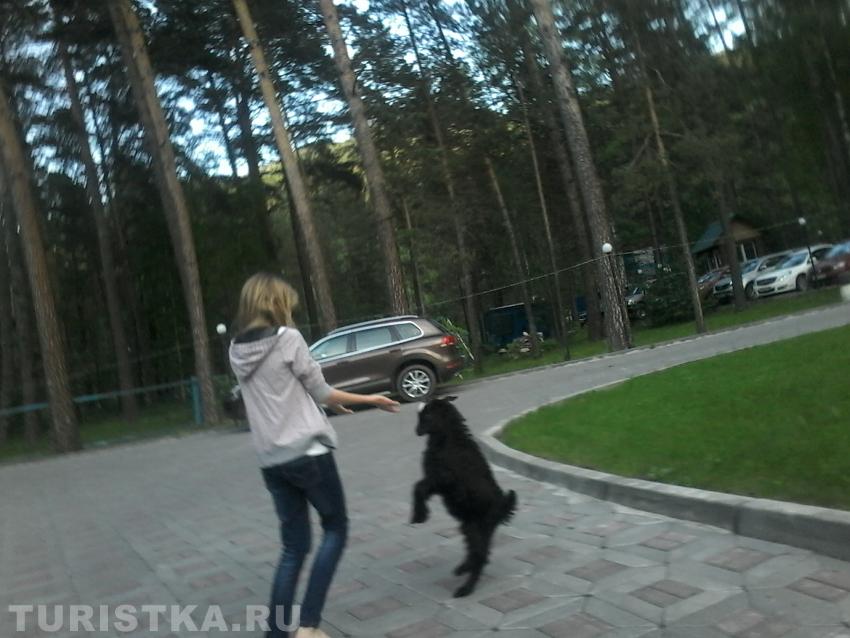 Забодающий хип-хоп