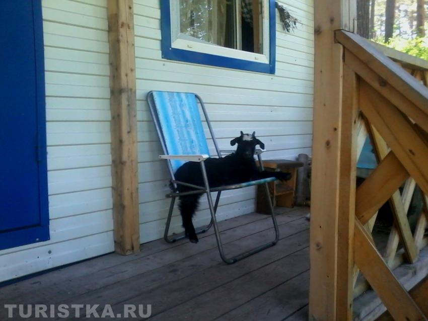 Отдыхающий турист