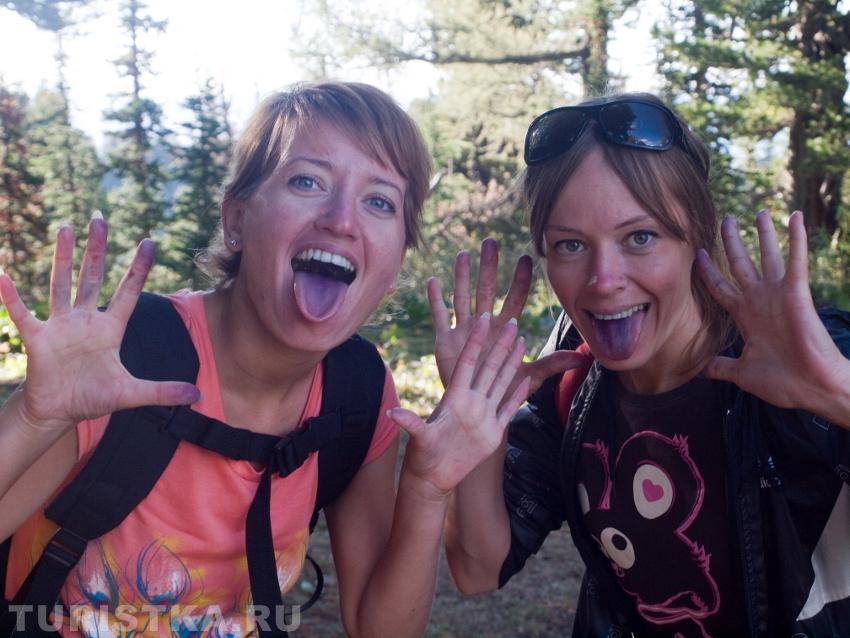 Чернику? Нет, не видЕЛИ :)