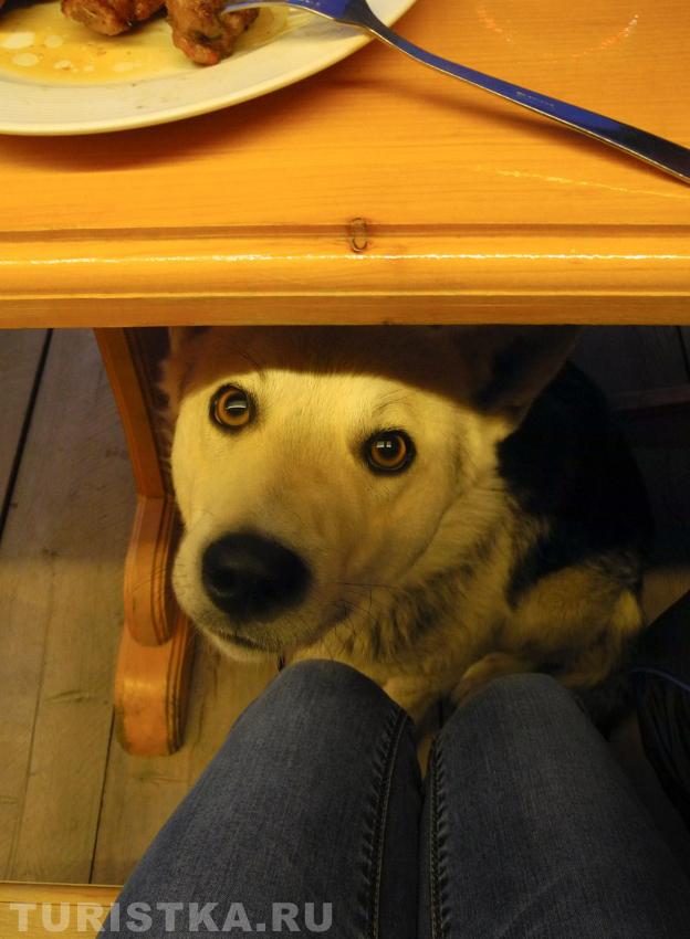 Господа, угостите тем, что вы там жуете.