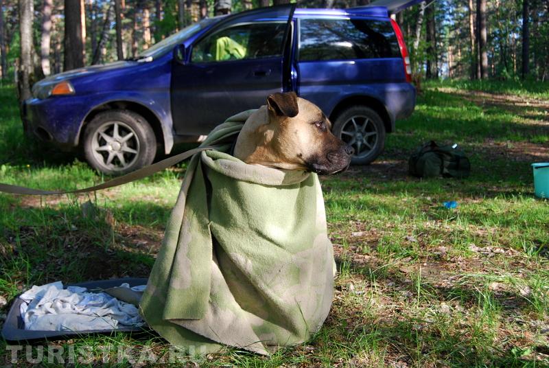 «И это - лето?»