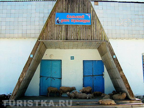 Культура отдыхает