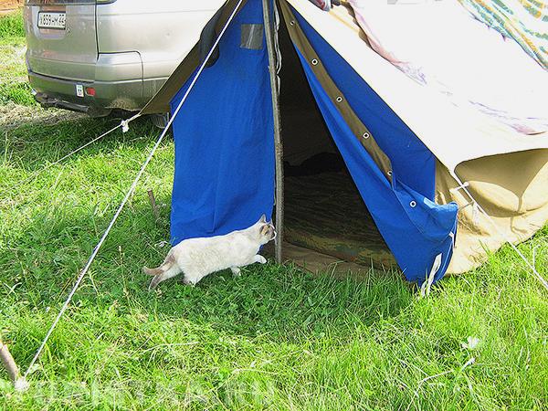 «Эй, подъем был в 7 часов, это кто ещё спит, кто палатку не собрал?»