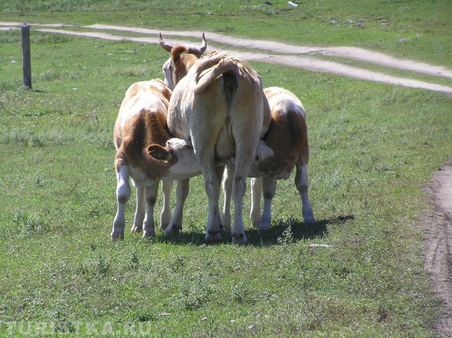 "Кто не успел , тот опоздал ...."