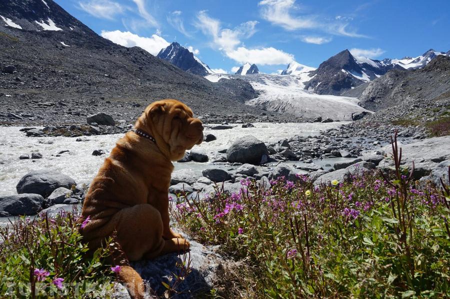 "Пойдем с нами-говорили они, будет весело - говорили они... <br>А в лагере сейчас, наверное, обед...