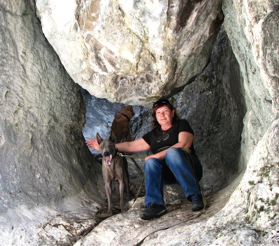 "Давай, фотограф, фотай быстрее, это же на нас сейчас упадёт!"