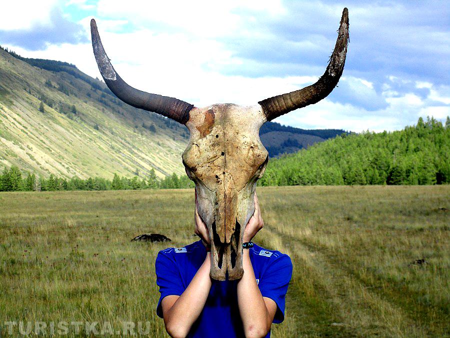 "Один в поле не воин, а козерог"