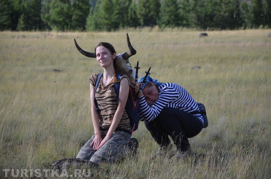  "Алтайская зебра"