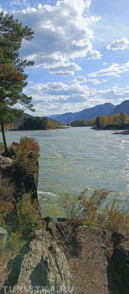 Алтай. Осенняя Катунь.