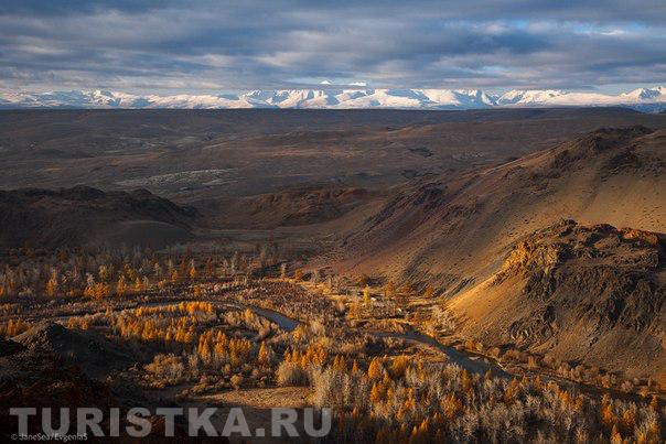 Чуйская степь, Алтай.
