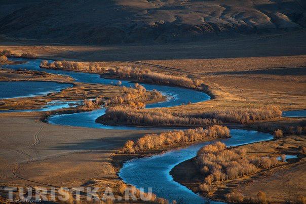 Чуйская степь, Алтай.