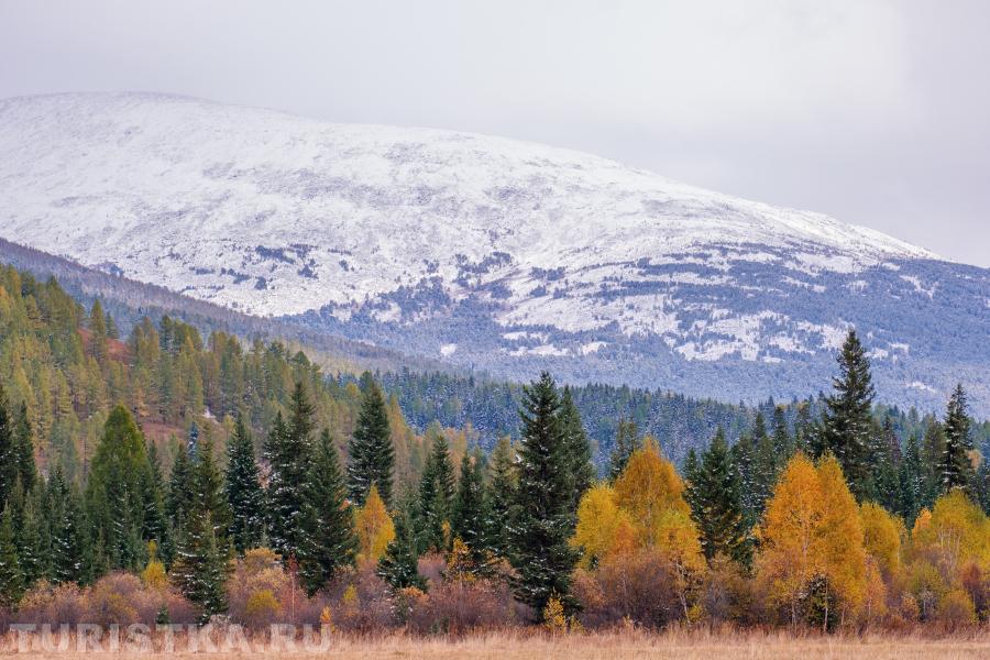 Соколов Евгений. Спуск с Семинского перевала