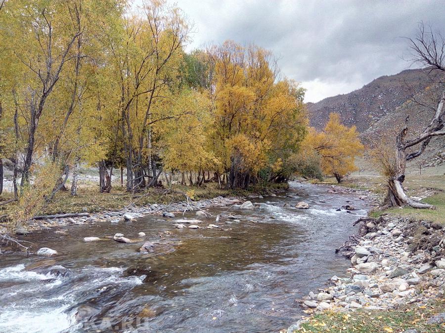 Недалеко от поворота на Степушку.