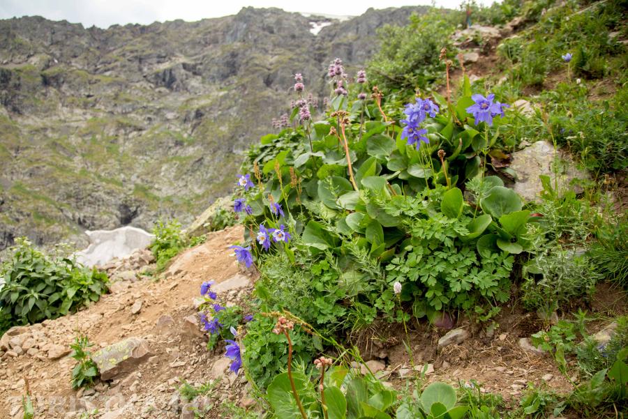 Водосборы по тропе к третьему озеру