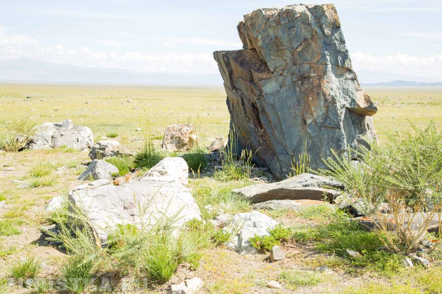Тархатинский мегалитический комплекс