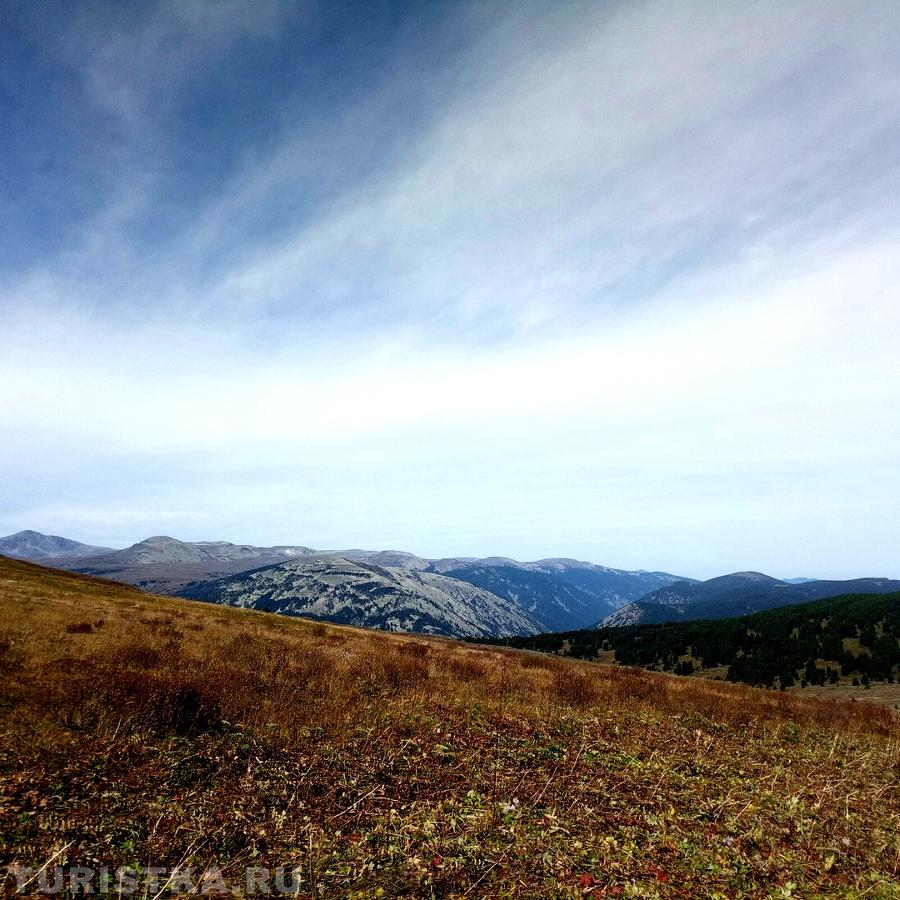 Чойский район. Близ села Каракокша