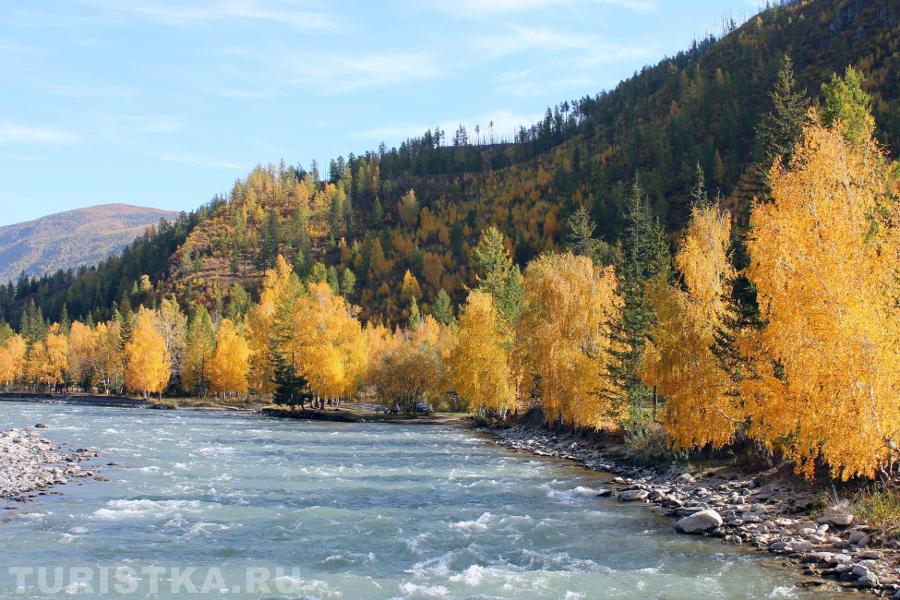 река Чуя у с. Чибит