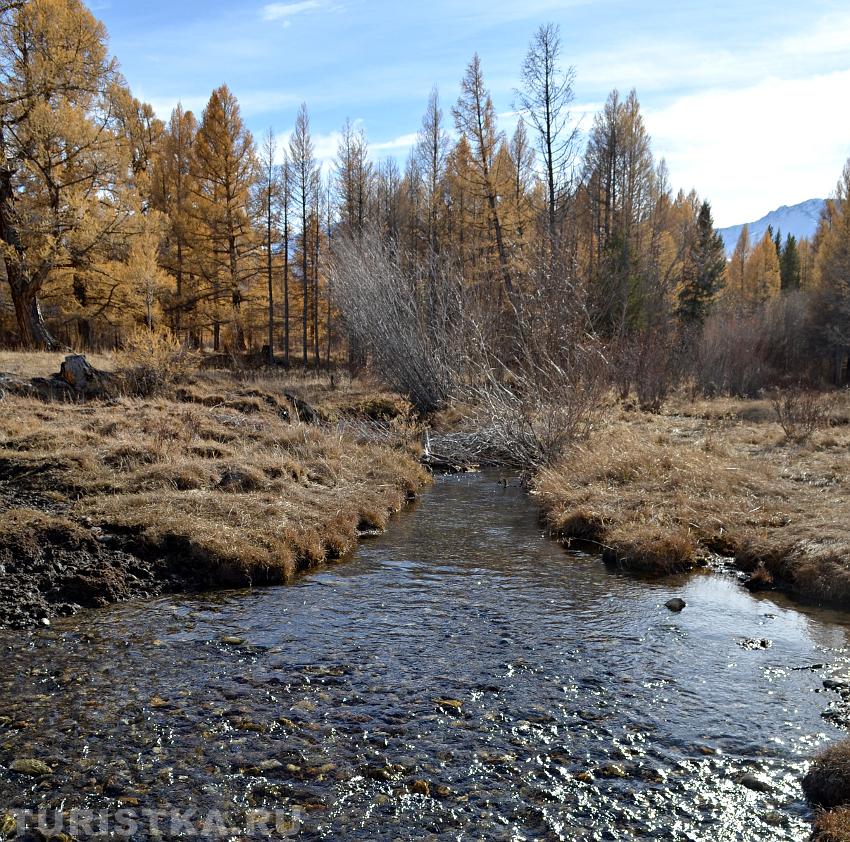 Река в Курайской степи