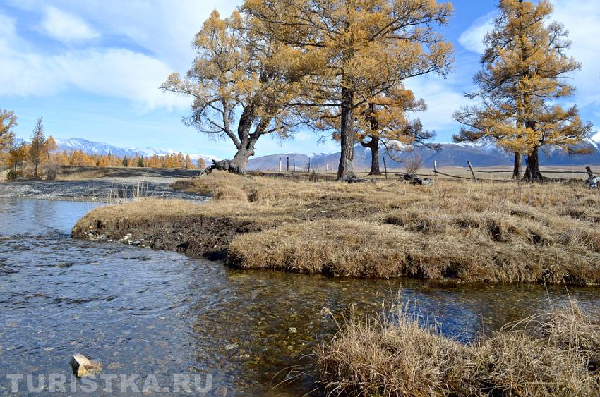 Река в Курайской степи