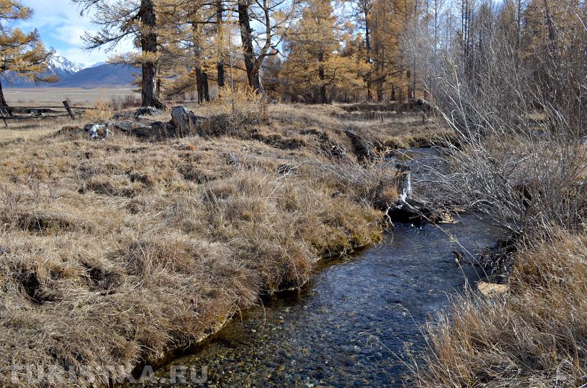 Река в Курайской степи