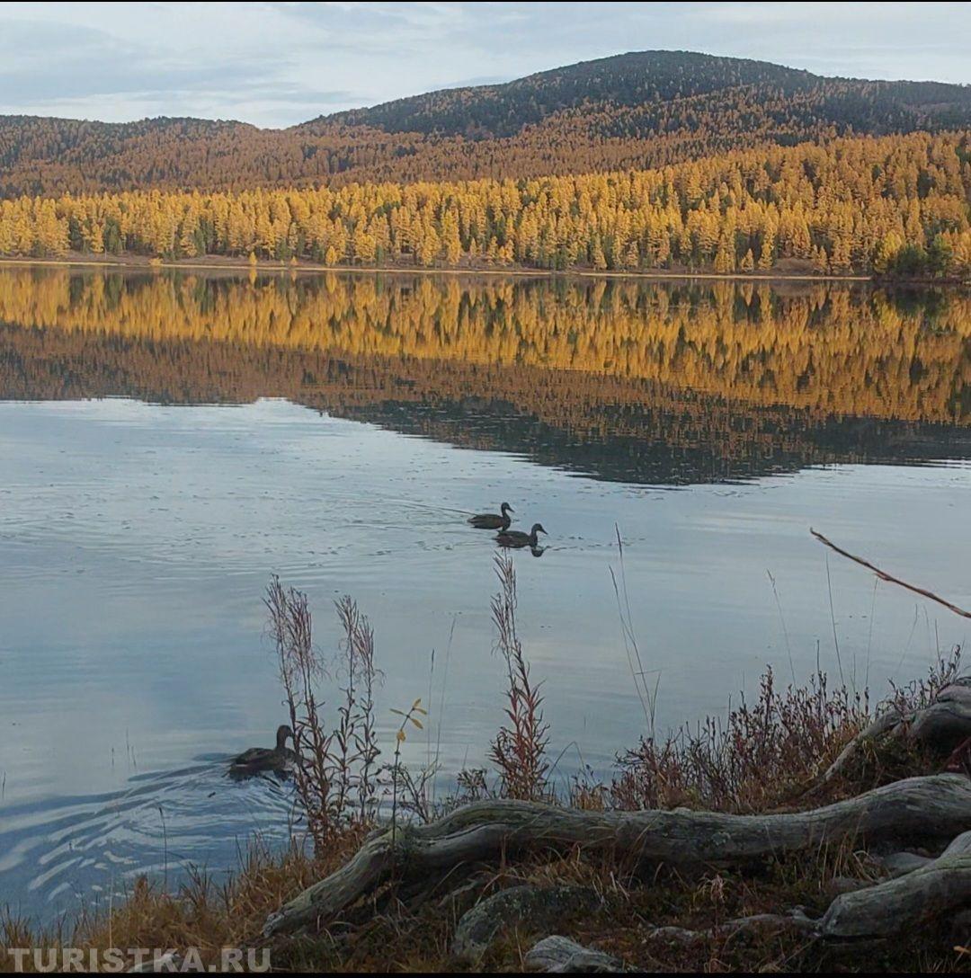 Алтай. Озеро Игисту Кёль