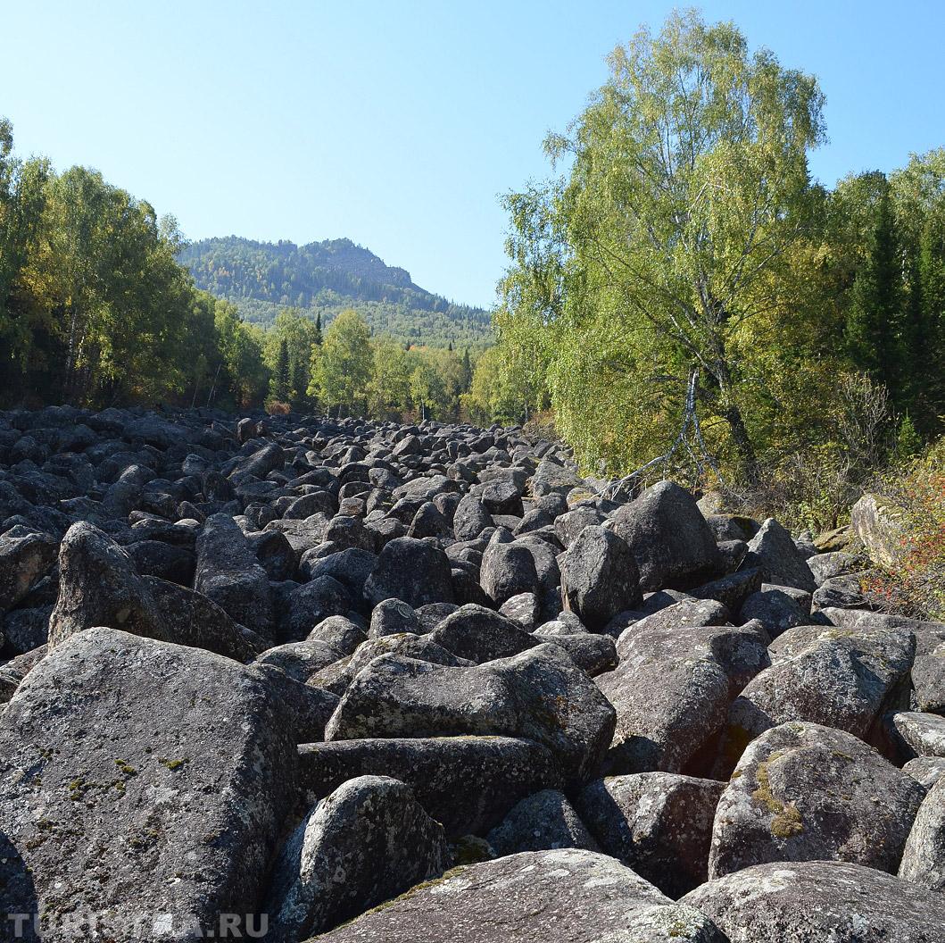 Курумник на реке Ануй рядом с селом Топольное