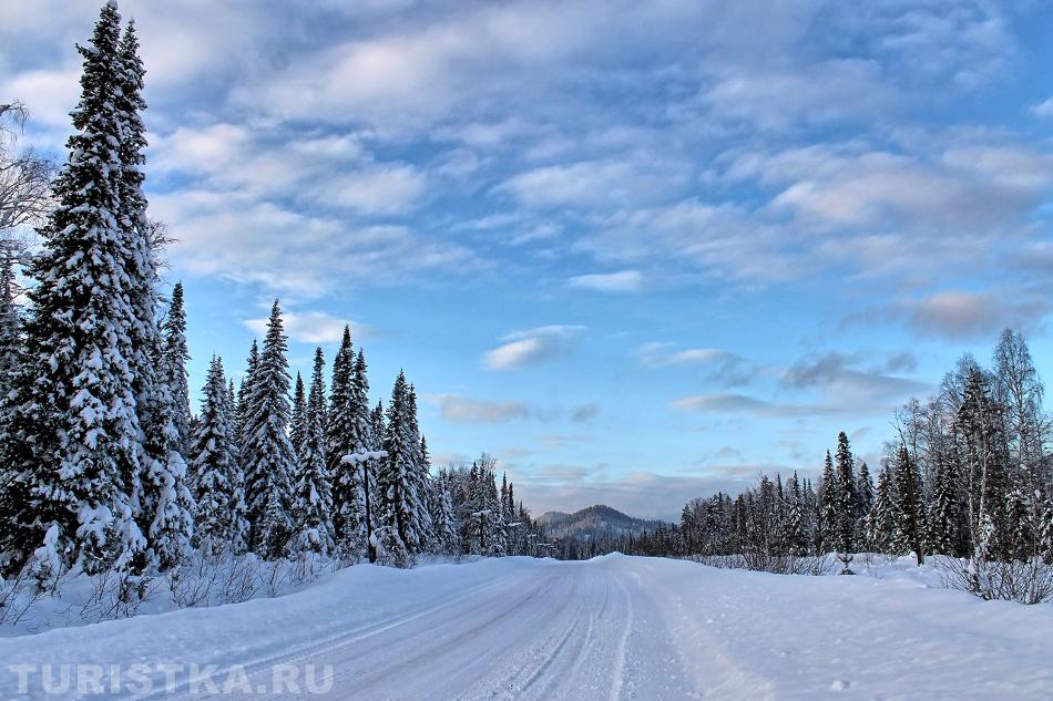 Туркомплекс Тура. Алтай