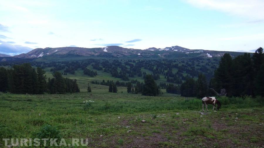 Окрестности базы