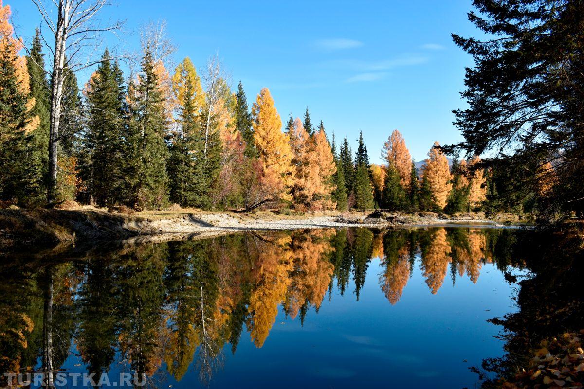 Алтай. Окрестности села Тихонькое, 10.10.24
