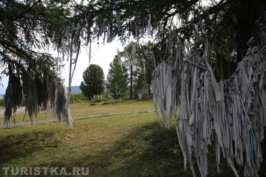 Улаганский перевал. Алтай
