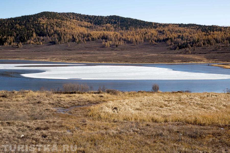 Улаганский перевал. Алтай. 