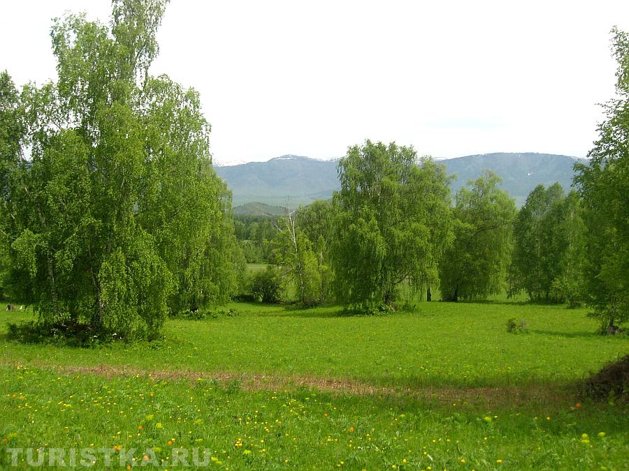 Окрестности села Мульта 