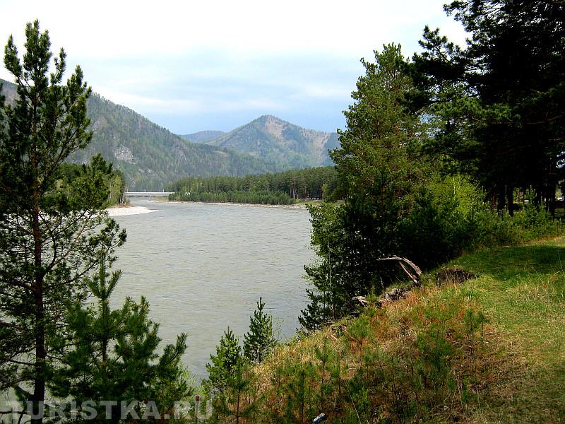 Берег Катуни в Усть-Семе