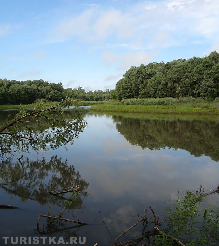 Устье реки Песчаная