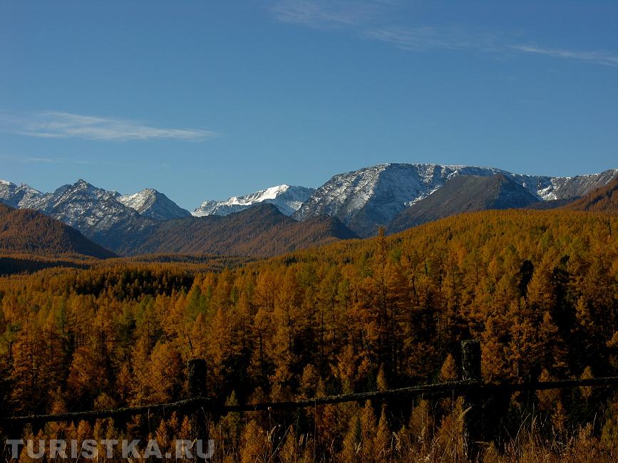 Горы Уймонской долины : Горный Алтай