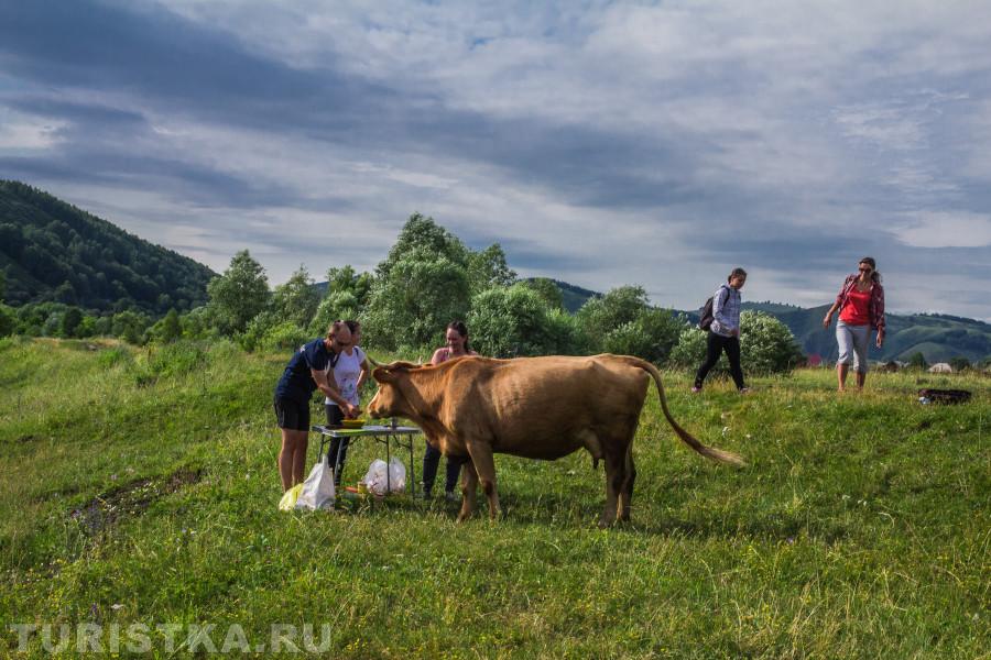 Как это арбуз кончился? Еще дайте, я ведь просто так не уйду. Река Ануй вблизи с. Солонешное.