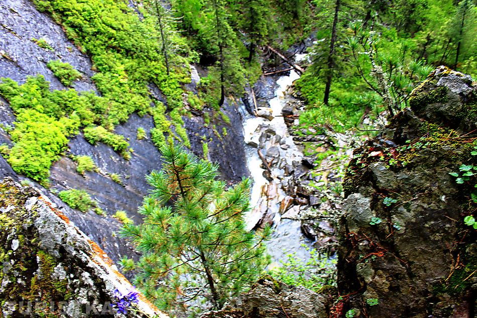 Вид с водопада "Двойной прыжок" : Алтайский край