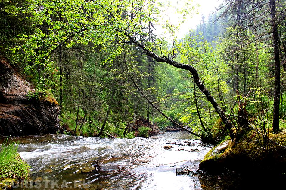 Вид с первого водопада :Солонешенский район