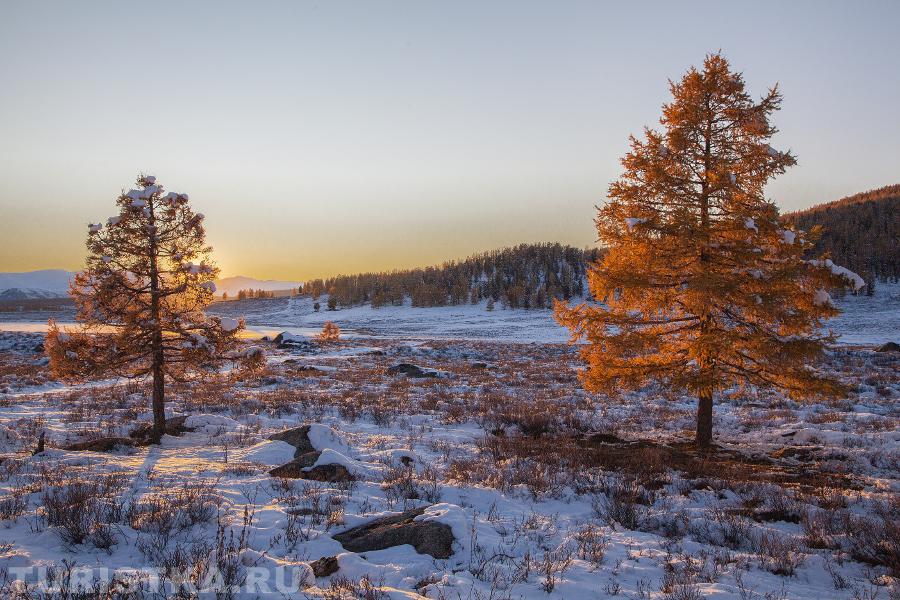 На Улаганском перевале. 